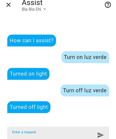 Home Assistant Assist