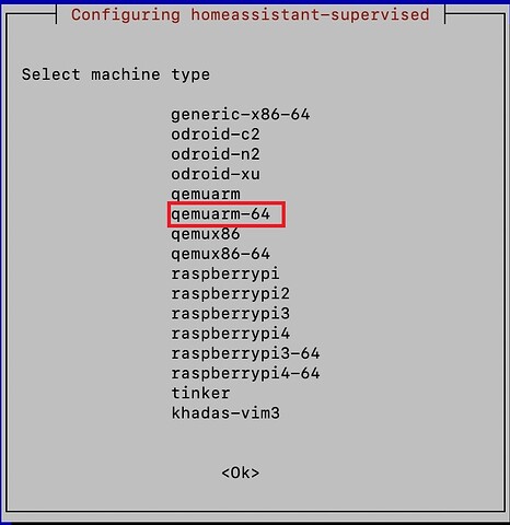 Home-Assistant-Supervised-select-machine-type