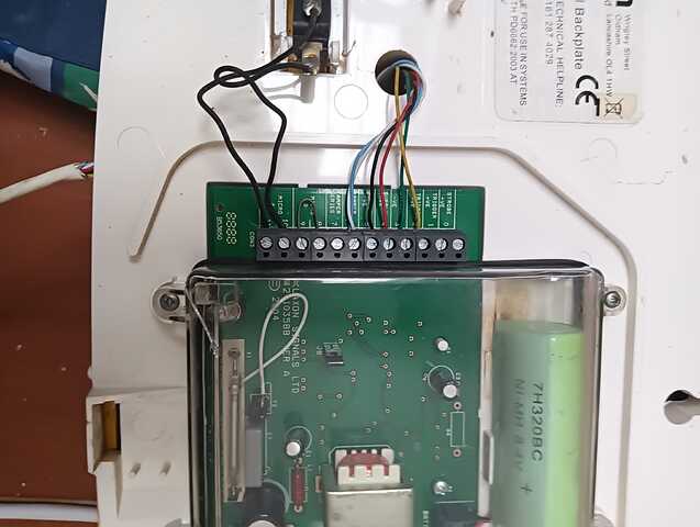 WhatsApp Image 2026-02-09 at 10.46.02 (1)