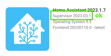 Settings – Home Assistant 2023-03-09 18-14-41